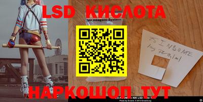 МДПВ Бердск