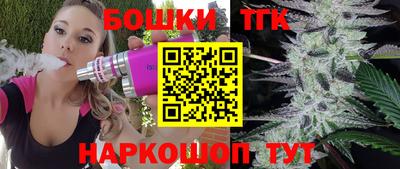МДПВ Бердск