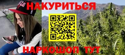 МДПВ Бердск